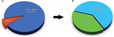 Potential bioactivities via anticancer, antioxidant, and immunomodulatory properties of cultured mycelial enriched β-D-glucan polysaccharides from a novel fungus Ophiocordyceps sinensis OS8